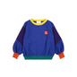Children's Spring Autumn Hoodie Cartoon Print Unisex Sweatshirts