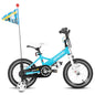 Kids Bike for Ages 2-7 Years kids, 12 14 16 Inch Girls Bikes with Doll Seat & Streamers, Boys Bike with Flag & Plate