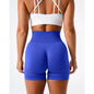Spandex Solid Seamless Shorts Women  Workout Tights Fitness Yoga Pants