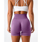 Spandex Solid Seamless Shorts Women  Workout Tights Fitness Yoga Pants