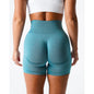Seamless Shorts Women  Workout Shorts Fitness Yoga Shorts leggings cycling pants