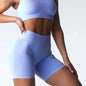 Seamless Shorts Women  Workout Shorts Fitness Yoga Shorts leggings cycling pants